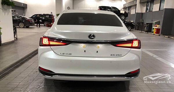 duoi xe lexus es 250 2019 muaxegiatot vn 7 - Đánh giá xe Lexus ES250 2021 kèm giá bán khuyến mãi #1