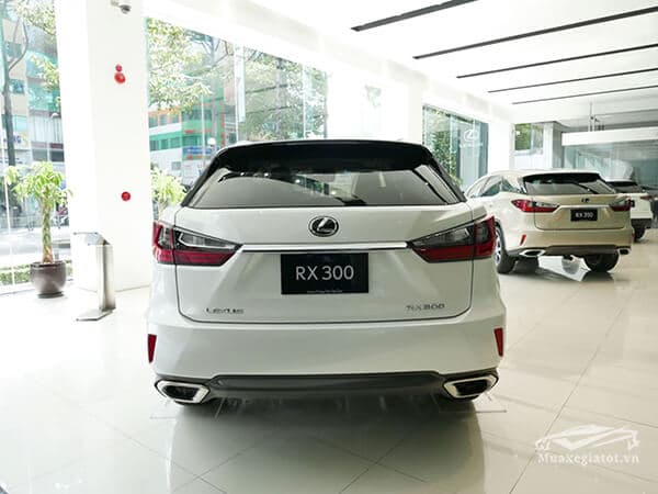 duoi xe lexus rx300 2019 2020 muaxenhanh vn 5 - Lexus RX300 2022: Thông số, Giá lăn bánh & Mua trả góp